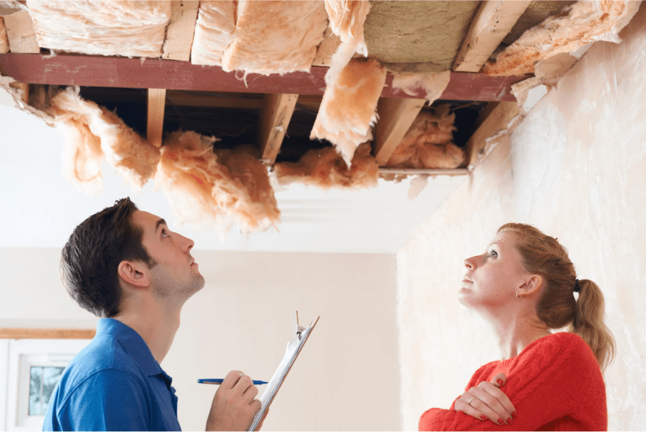 Man and woman inspecting damaged home ceiling insulation