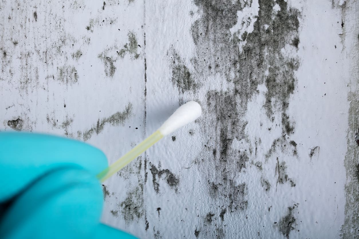 Mold testing with swab on wall.