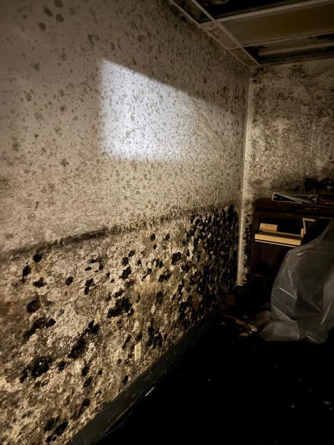 Room with severe black mold on walls.