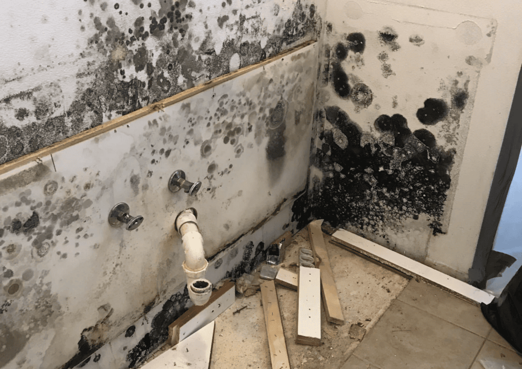 Severe black mold growth under bathroom sink